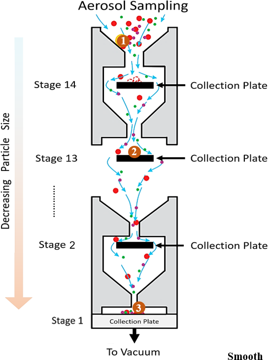 AMT - Utilizing an electrical low-pressure impactor to indirectly probe  water uptake via particle bounce measurements