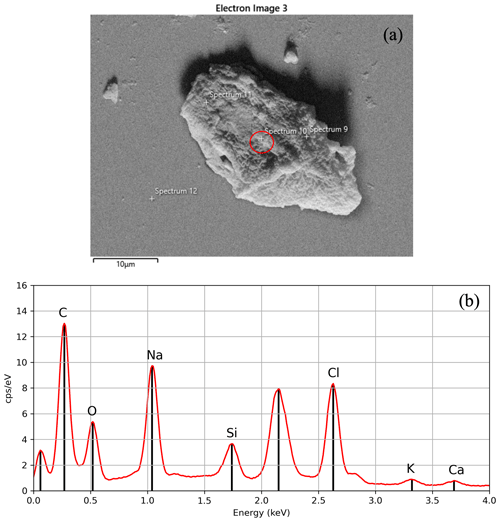 https://amt.copernicus.org/articles/17/5561/2024/amt-17-5561-2024-f07